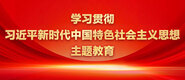 极品美女逼学习贯彻习近平新时代中国特色社会主义思想主题教育_fororder_ad-371X160(2)